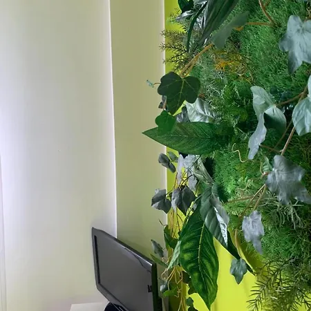 Appartement Green Home, Grazioso E Luminoso Bilocale In Centro Citta Udine